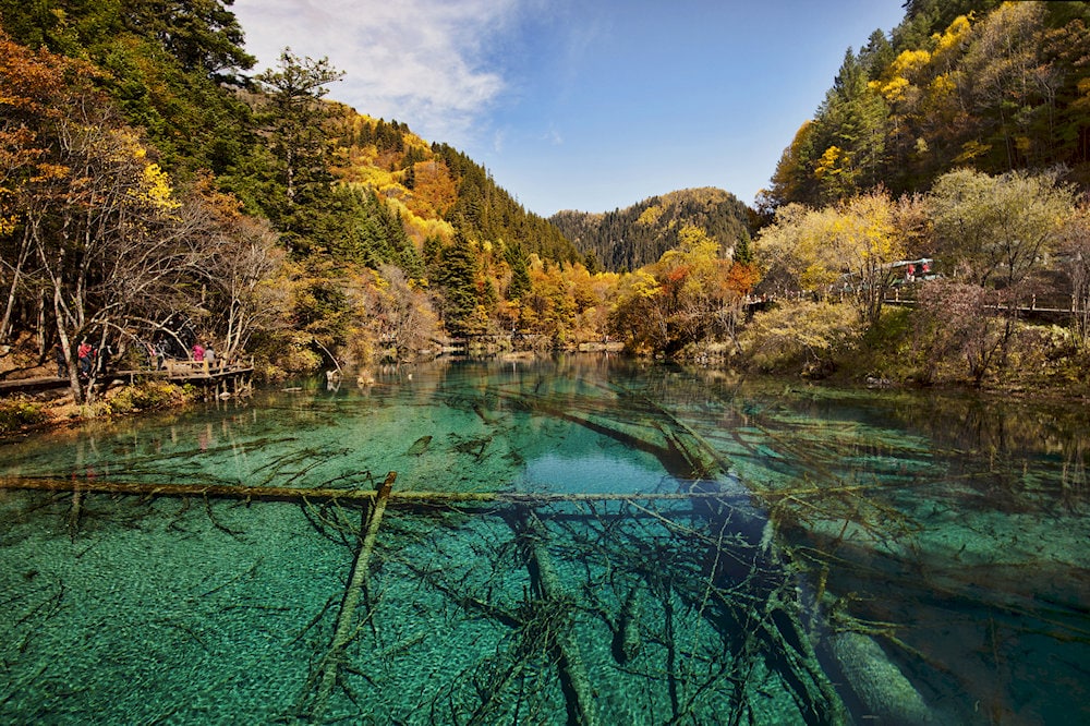 Jiuzhaigou Valley is famed for its colorful lakes, cascading waterfalls, and lush virgin forests